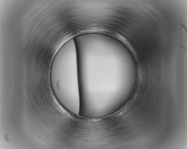X0000102850810200808181046
