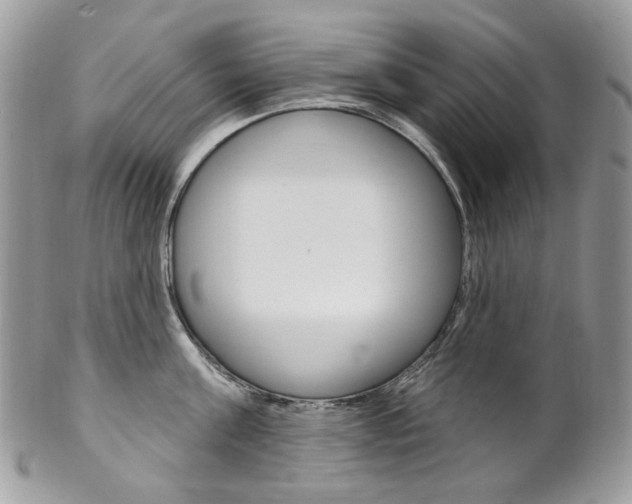 X0000102850811200808181046