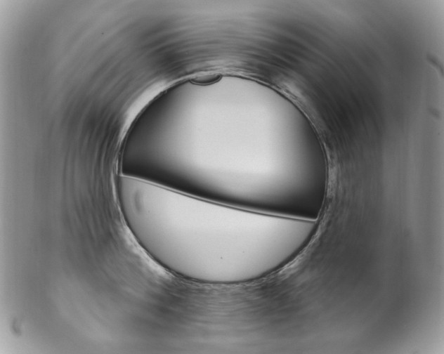 X0000102850812200808181046