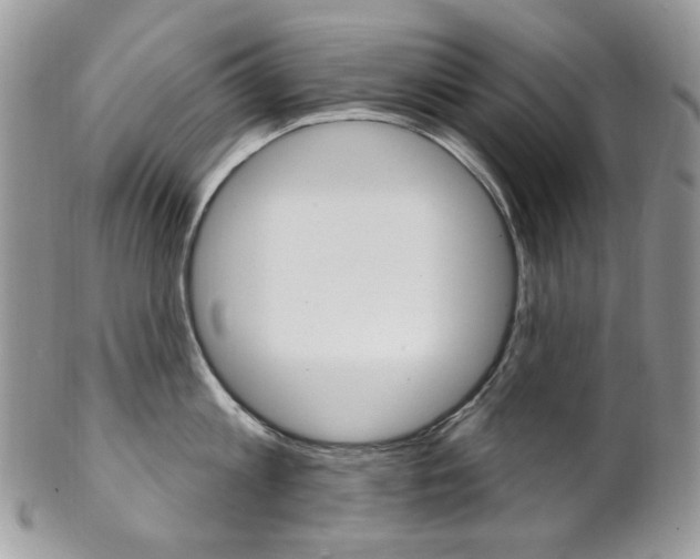 X0000102850813200808181046