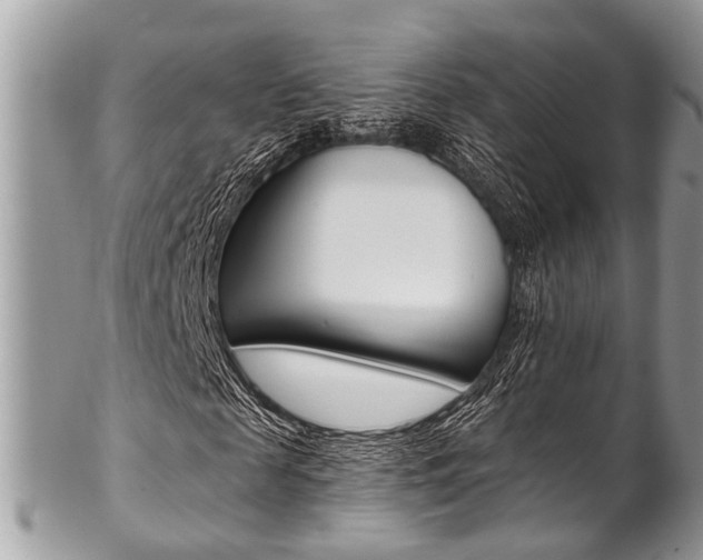 X0000102850817200808181045
