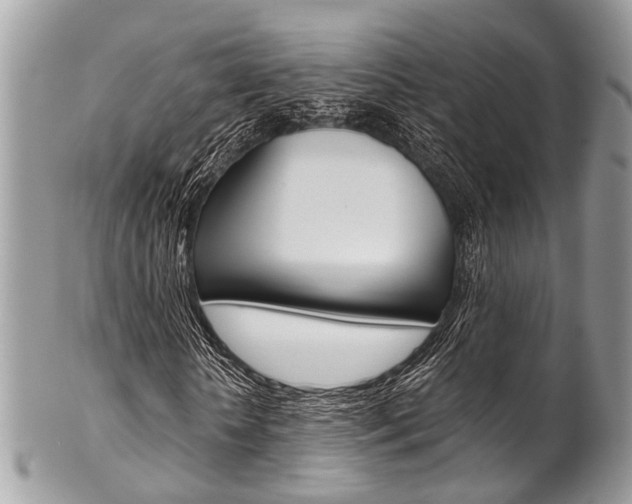 X0000102850818200808181045