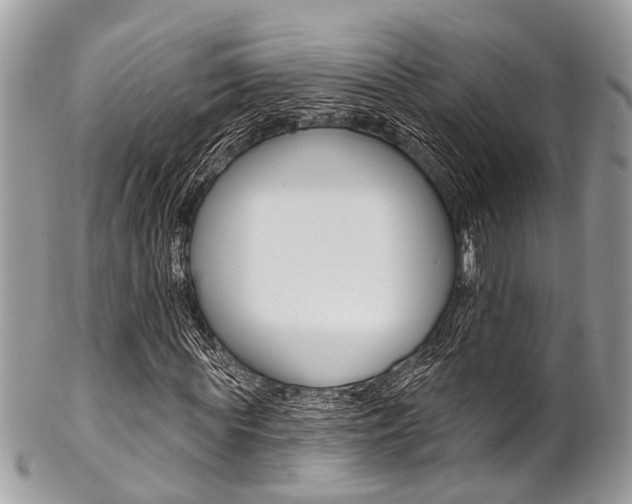 X0000102850819200808181045