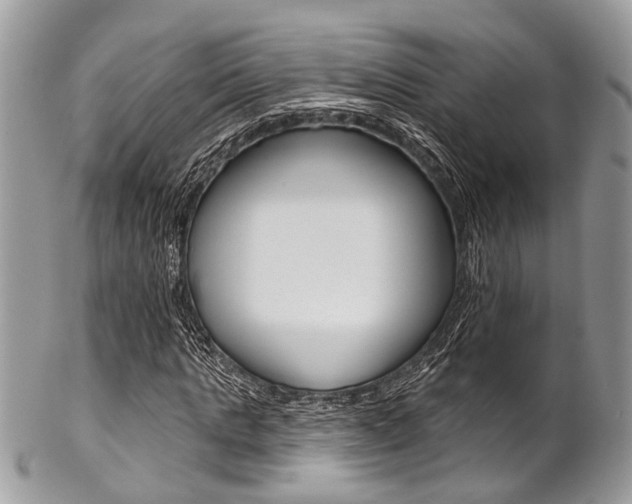 X0000102850821200808181045