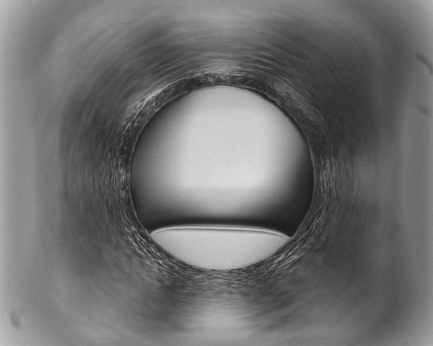 X0000102850822200808181045