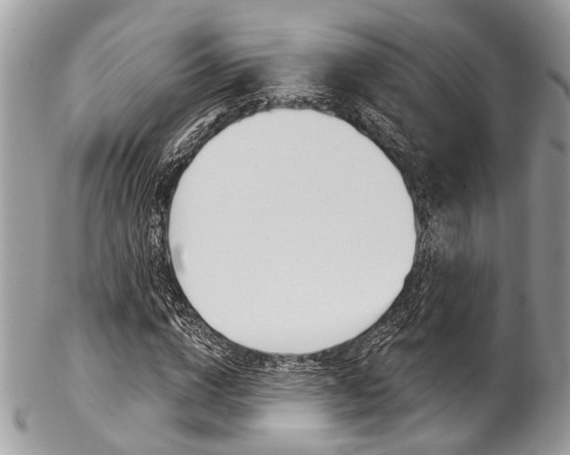 X0000102850824200808181045