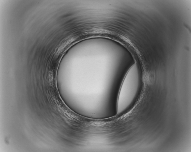 X0000102850825200808181045