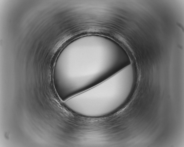 X0000102850829200808181045