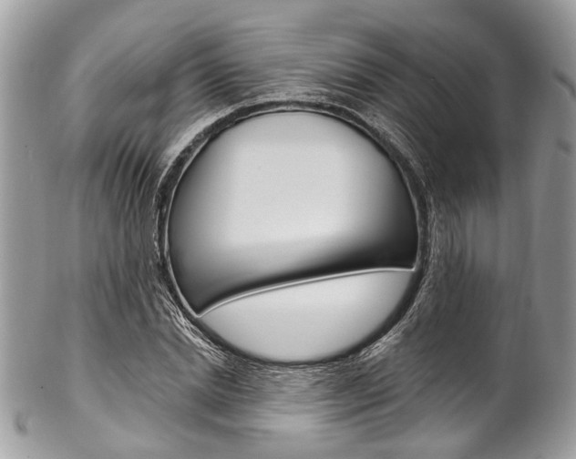 X0000102850830200808181045