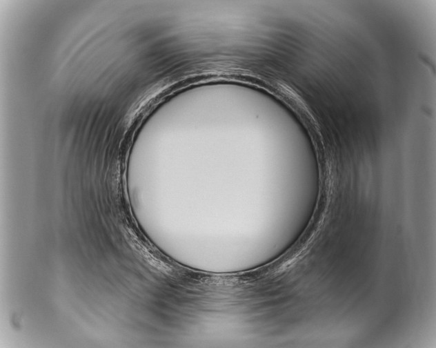 X0000102850831200808181045