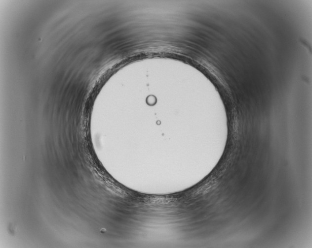 X0000102850832200808181045