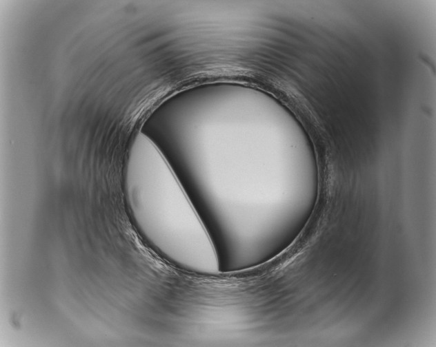 X0000102850833200808181045