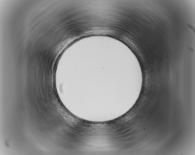 X0000102850836200808181045