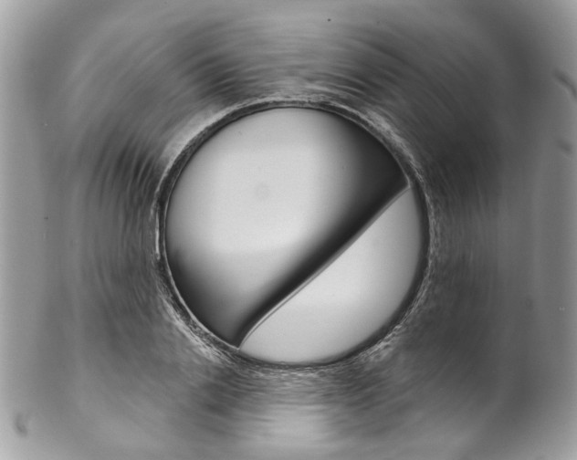 X0000102850838200808181045