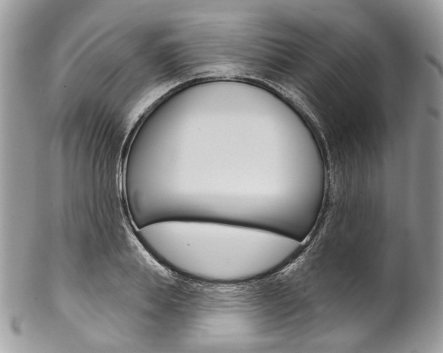 X0000102850839200808181045