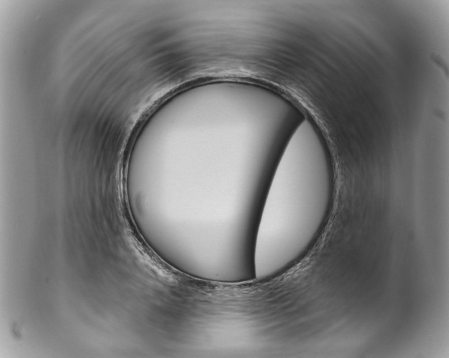 X0000102850840200808181045