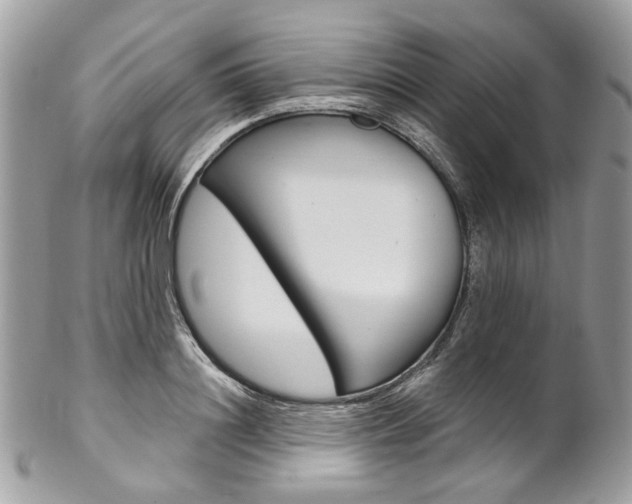 X0000102850844200808181045