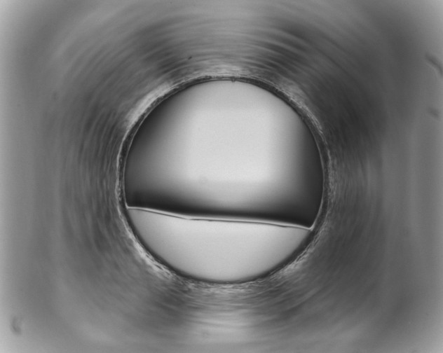 X0000102850845200808181045