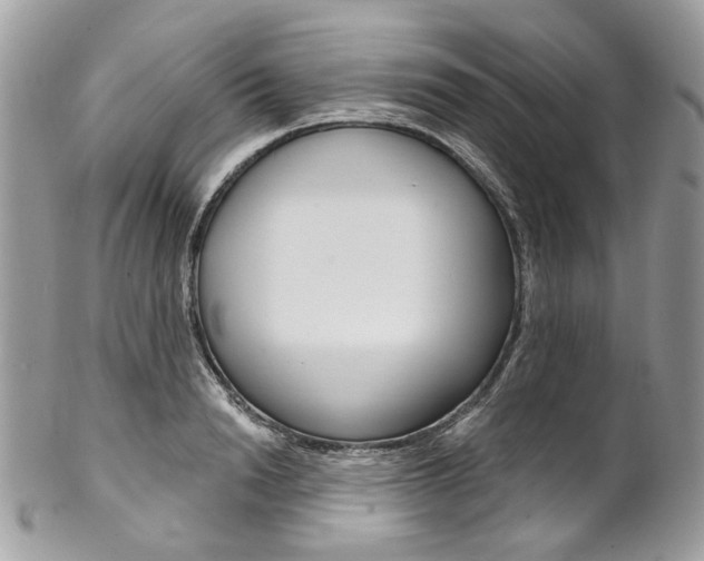 X0000102850846200808181045