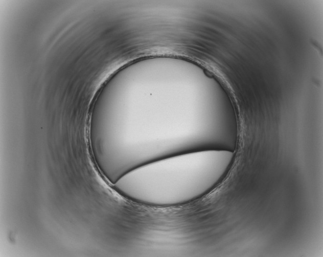 X0000102850847200808181045