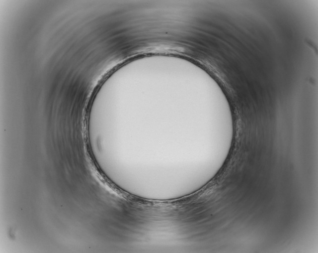 X0000102850848200808181045