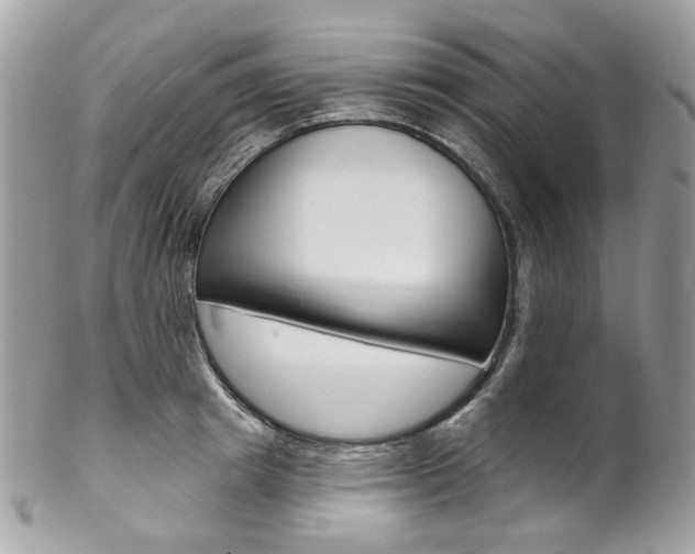 X0000102850849200808181045
