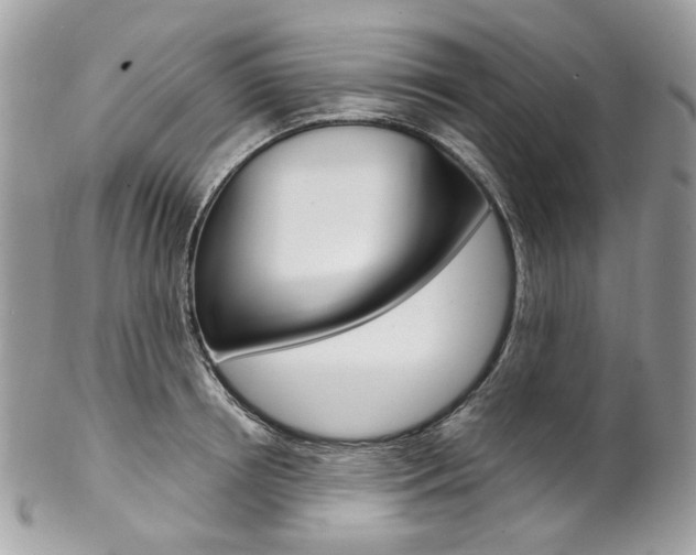 X0000102850850200808181045
