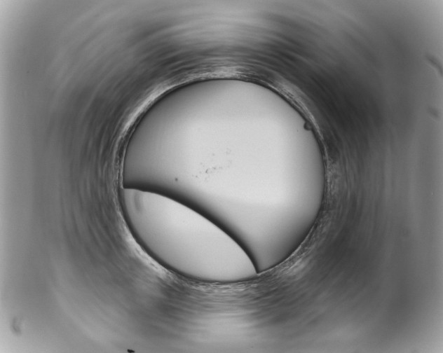X0000102850851200808181045