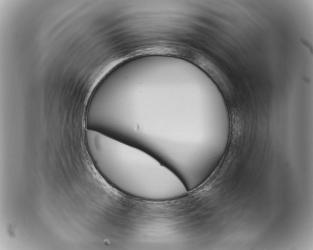 X0000102850852200808181045