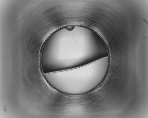 X0000102850853200808181045