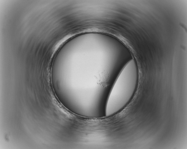 X0000102850854200808181045