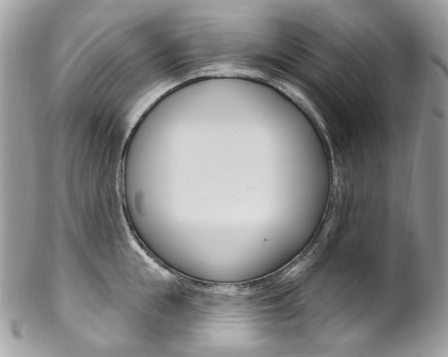 X0000102850855200808181045