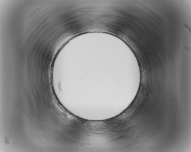 X0000102850856200808181045