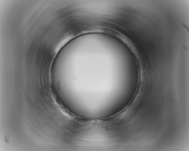 X0000102850858200808181045