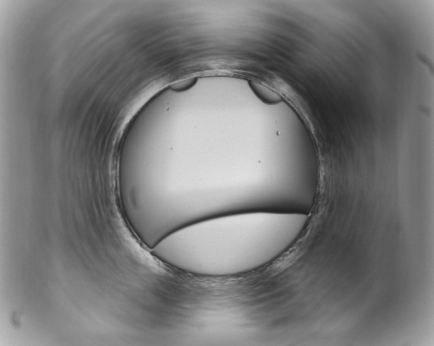 X0000102850859200808181045