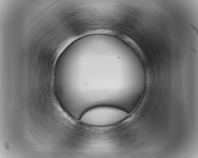 X0000102850860200808181045