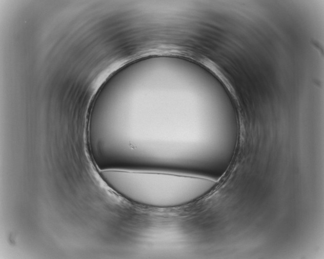 X0000102850861200808181046