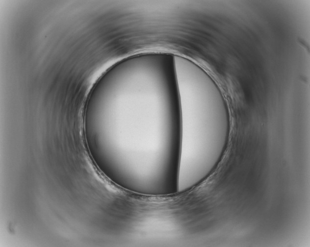 X0000102850862200808181046