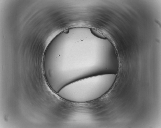 X0000102850863200808181046