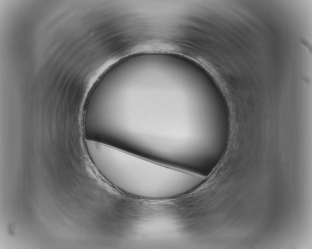 X0000102850864200808181046