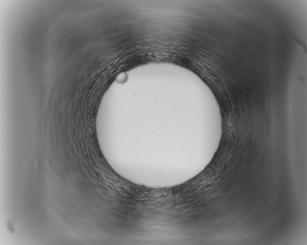 X0000102850865200808181045