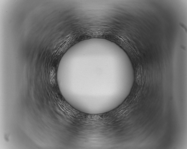 X0000102850866200808181045