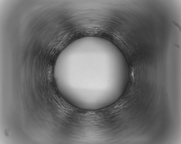 X0000102850867200808181045