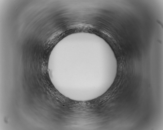 X0000102850869200808181045