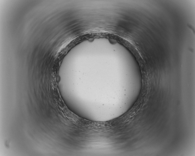 X0000102850871200808181045