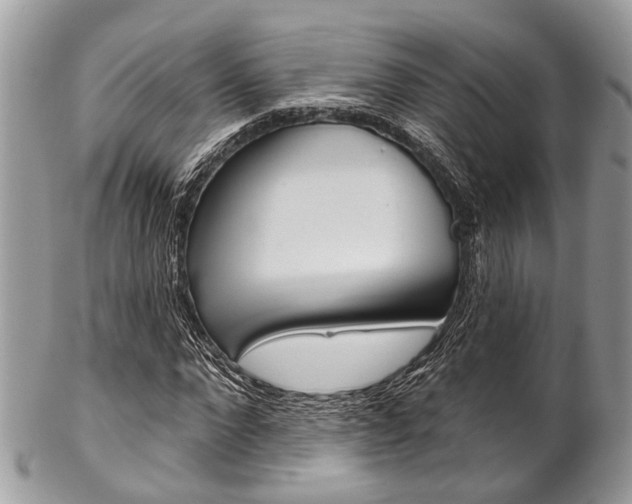 X0000102850872200808181045