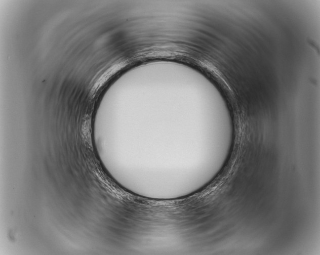 X0000102850874200808181045