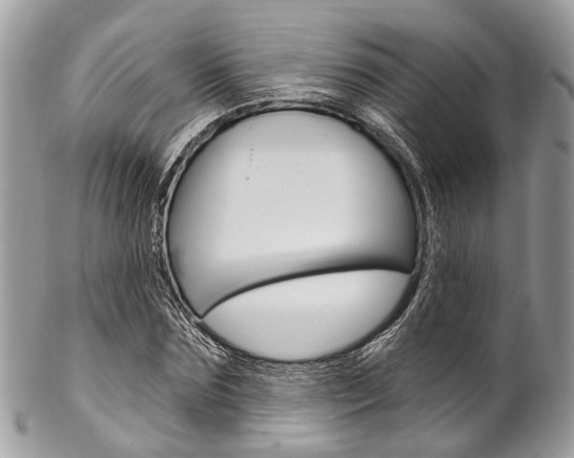 X0000102850875200808181045