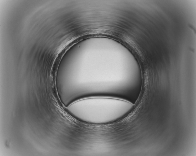 X0000102850876200808181045