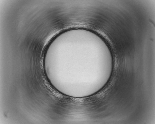 X0000102850878200808181045